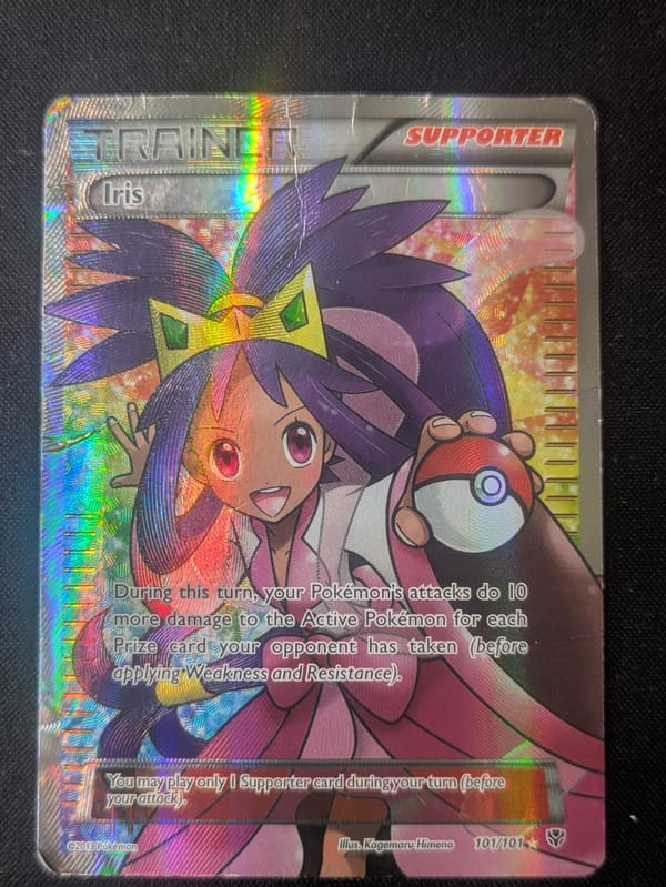 Iris 101/101